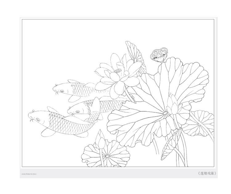 《小品白描画稿 荷花鲤鱼 路雨年 绘画国画技法 工笔画初学者入门