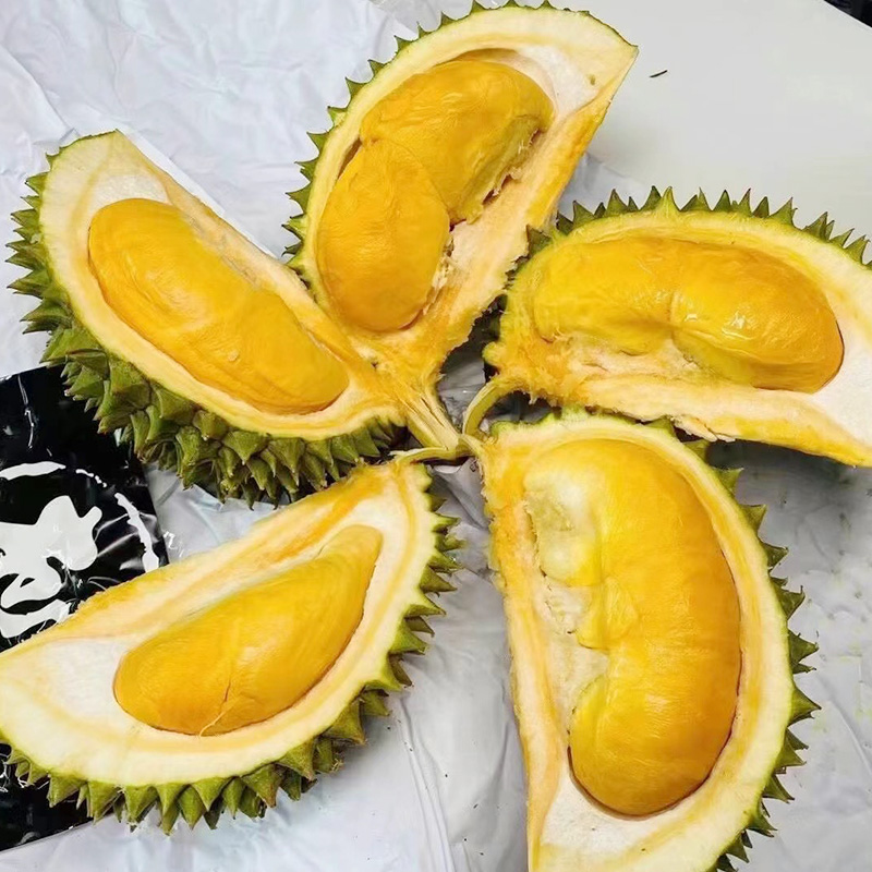 【榴莲】马来西亚黑刺d200榴莲进口一个整颗带壳冻果榴莲水果礼盒礼品