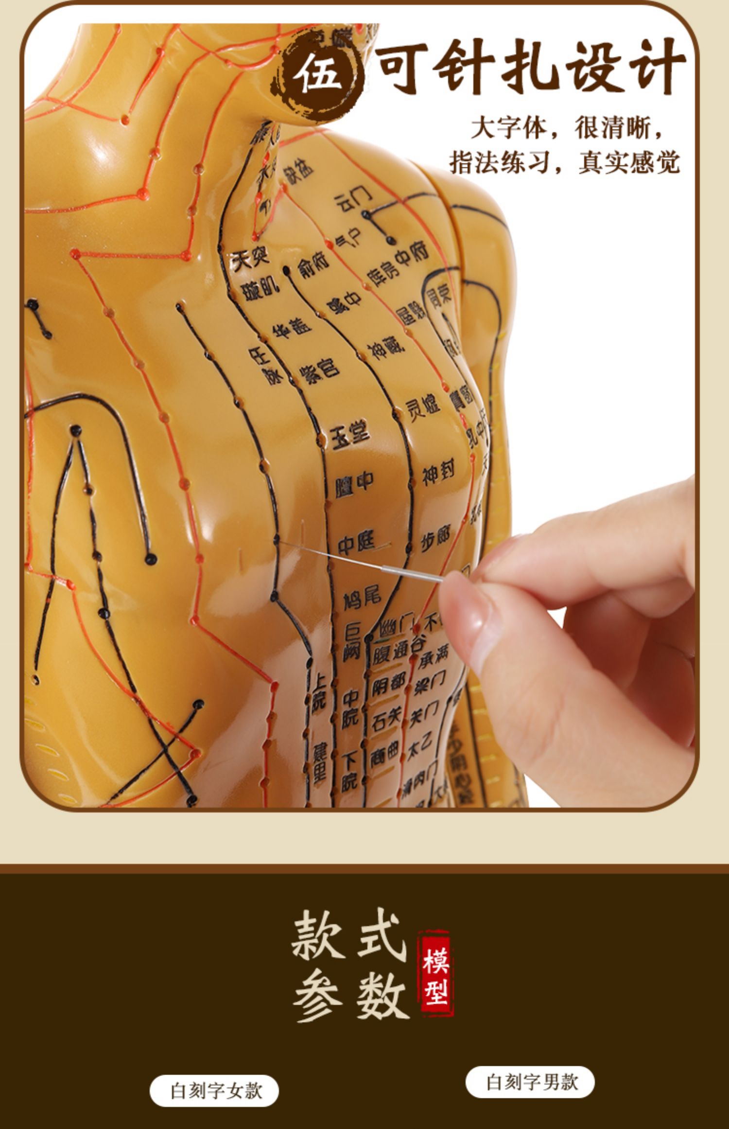 中医针灸练习人体模型人偶医学全身十二经络图扎针穴位小皮人模特 52