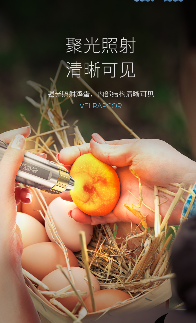 微笑鲨 照蛋灯鸡蛋鸭蛋鹅蛋孵化验蛋专用灯受精蛋检查手电筒孵化机照