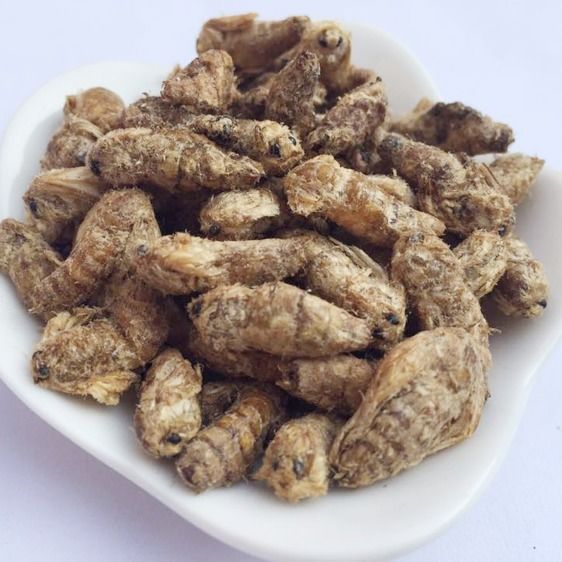 伟博 中药材雄蚕蛾男用晚蛾子未交配雄蚕蛾可泡酒原蚕蛾250克 雄蚕蛾