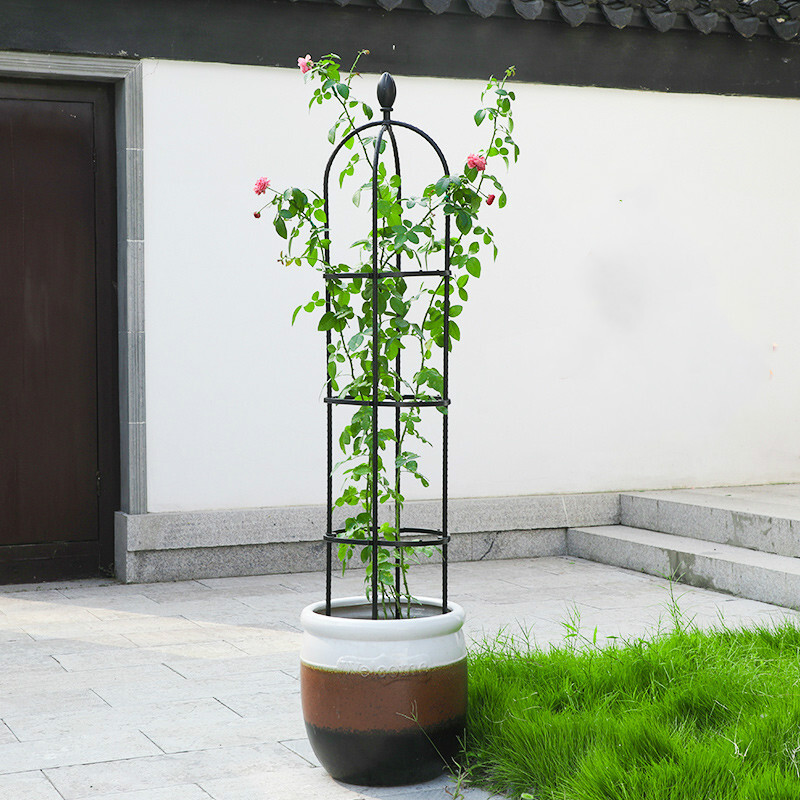 京选推荐铁线莲架子爬藤架欧月攀爬架阳台铁艺花架月季爬藤架子花盆