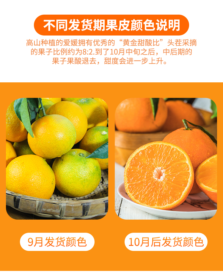 四川爱媛38号果冻橙新鲜当季水果橙桔蜜橘子整箱大果5斤