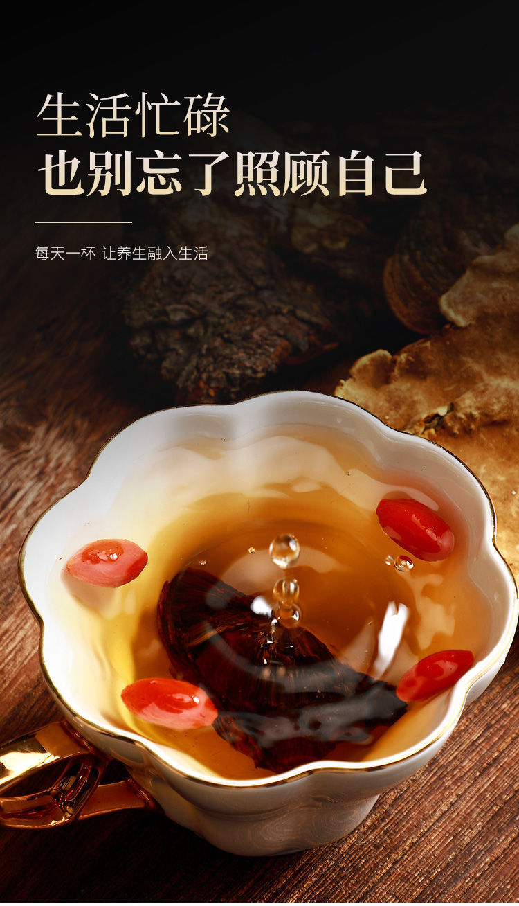 正宗西藏野桑黄正宗西藏桑树桑黄金边桑黄灵芝桑黄泡酒水/伟博 30年