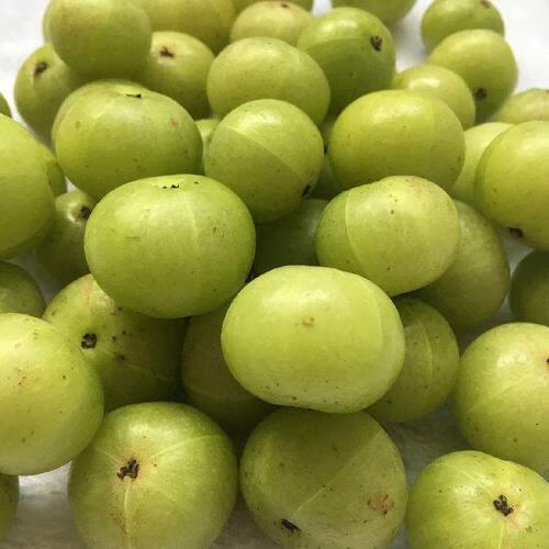 金灶新鲜油甘果牛甘果余甘果油柑果新鲜奶茶榨汁油甘