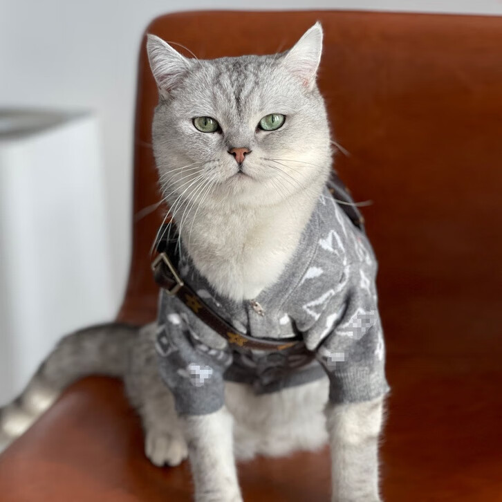 猫咪用的头盔宠物英短蓝猫猫咪迷你头盔胸包新款机车安帽造型帽子搞笑