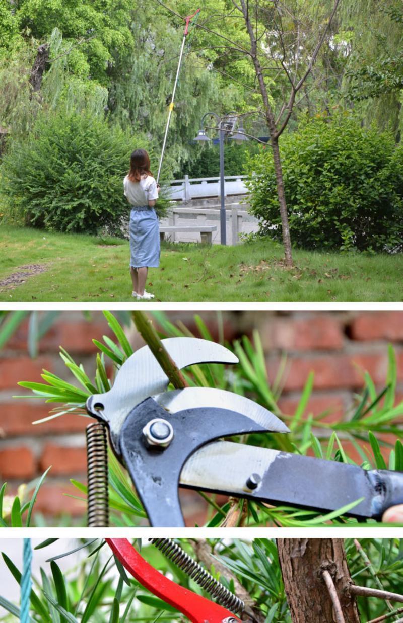 碧莎尔送绳子高空剪果枝剪刀高枝剪修枝剪长剪刀树枝修剪摘果神器高空