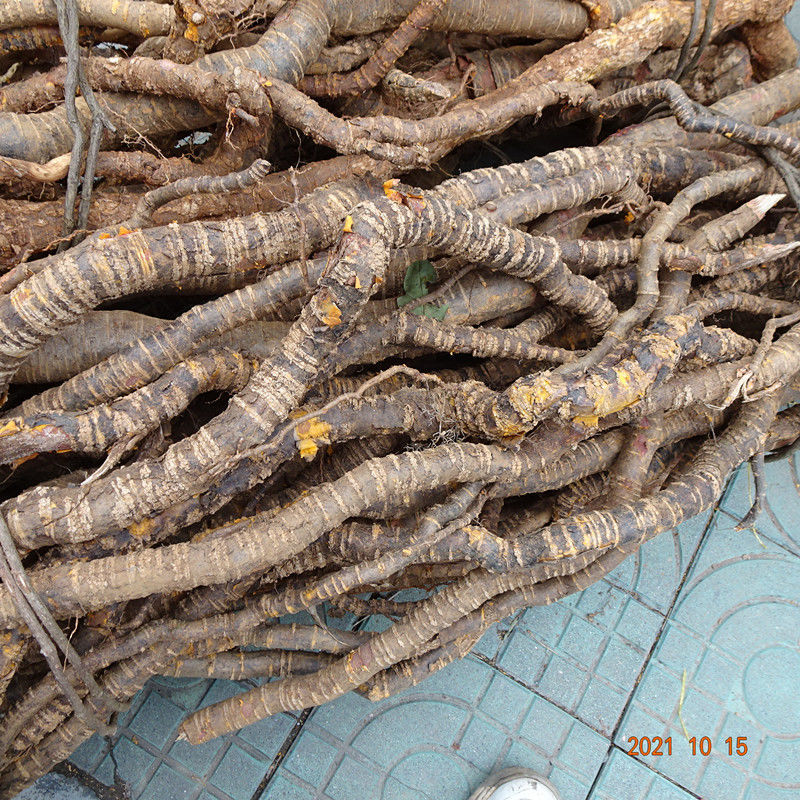 野生无硫过山龙穿山龙南蛇藤地龙骨串地龙原生态干货2斤干货切片