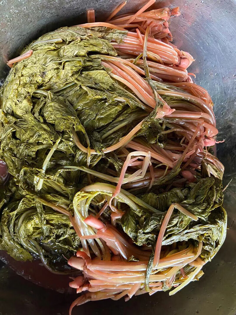 溆浦萝卜酸菜白菜酸下饭菜溆浦特产怀化小吃炒酸菜萝卜叶子菜新鲜豆食