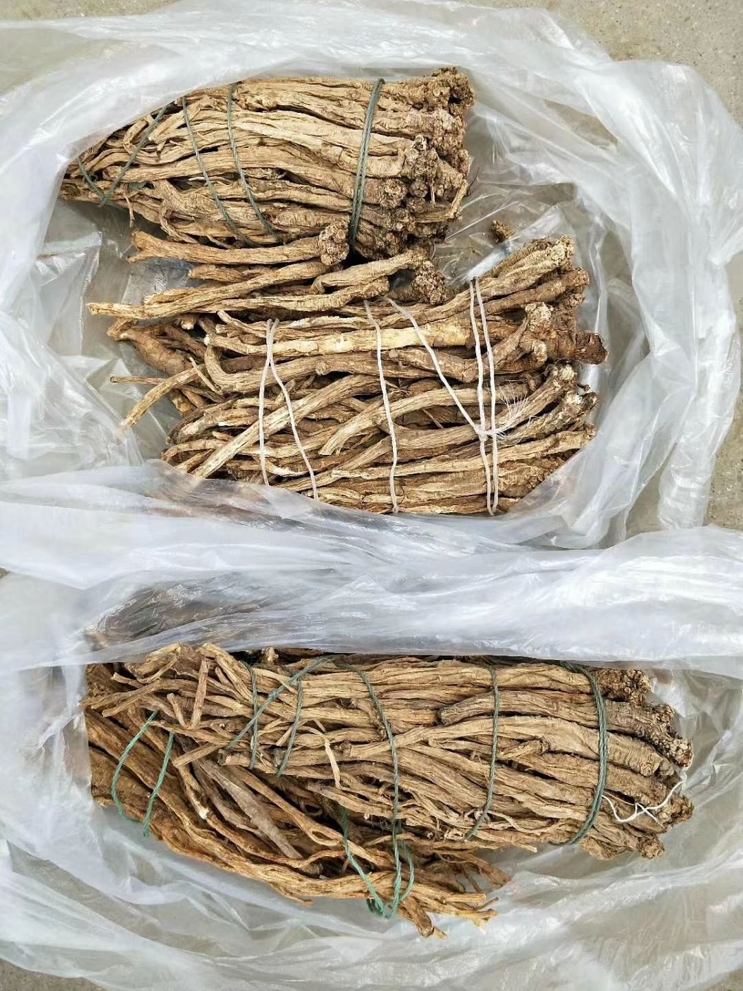 五台山党参 五台山野台参 张锡纯野台参 北台采挖500克野台参 500g