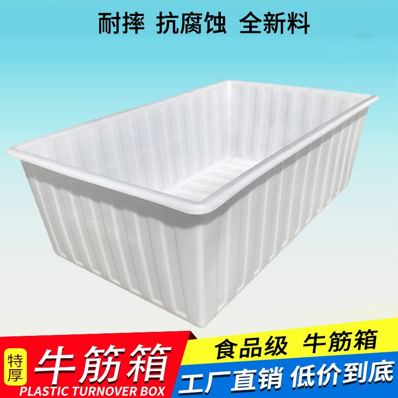 19acc6cef0768046.jpg