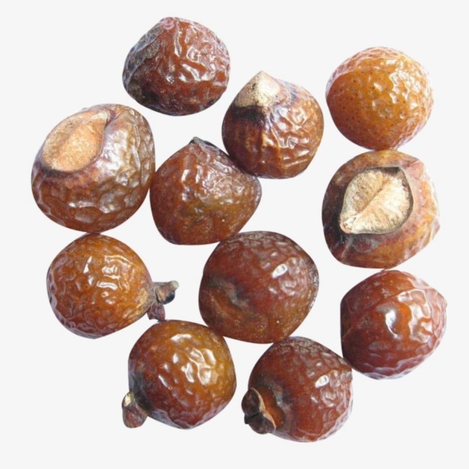 无患子果皮 20克试用【图片 价格 品牌 报价】-京东