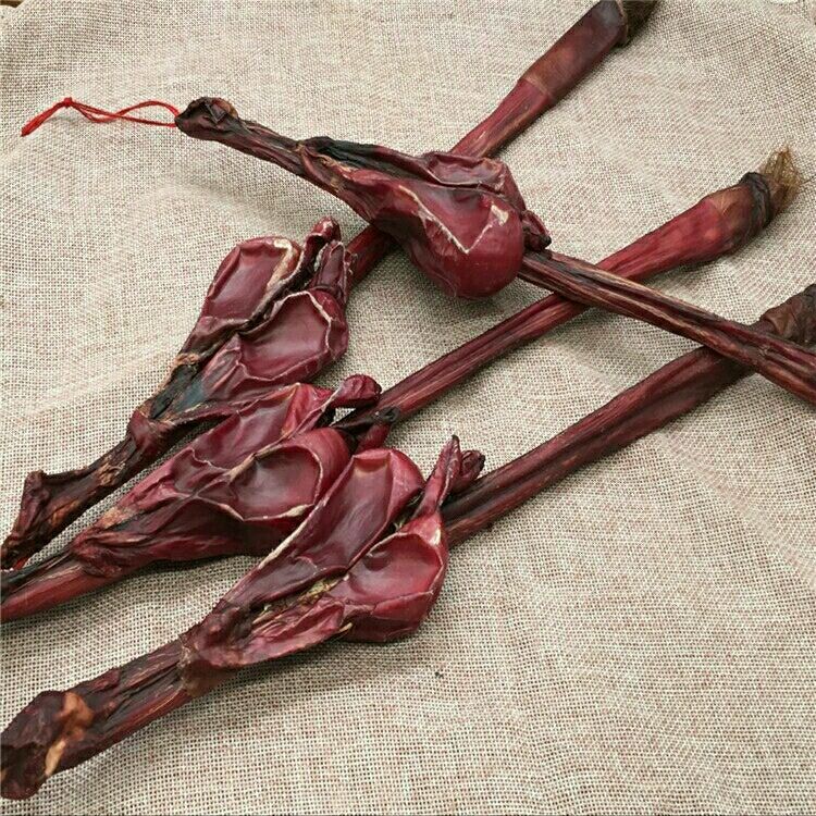 有仁堂牦牛鞭干牛鞭整个黄牛鞭带睾丸泡酒料批发供应一条牛鞭赠枸杞