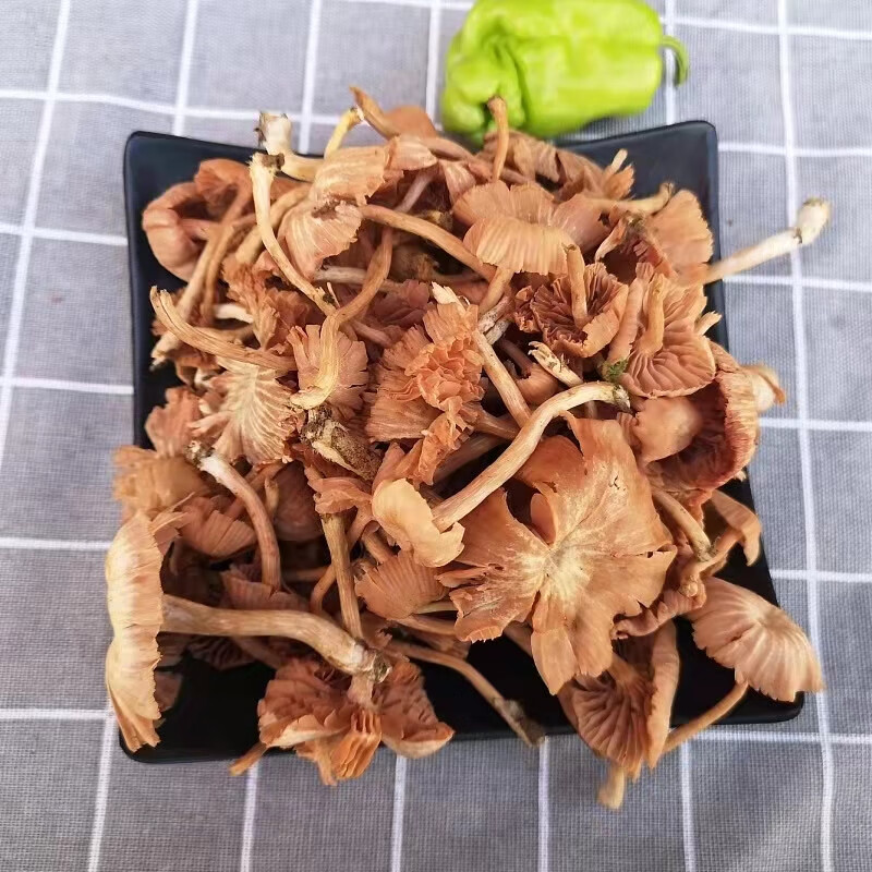 贝娇芬 云南特产蘑菇鸡枞新鲜野生皮条菌皮挑菌铁脚菌老人头钉子菌