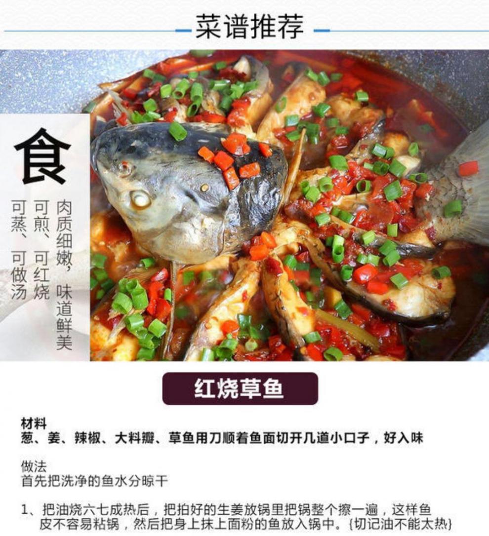 【好物推荐】鲜美惊当天打捞生螺丝混青混鱼子鲜味美活体现杀!