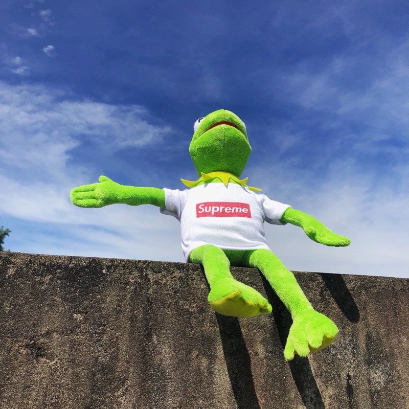 【七夕礼物】芝麻街科密特ins火青蛙公仔kermit穿衣玩偶礼物凹造型