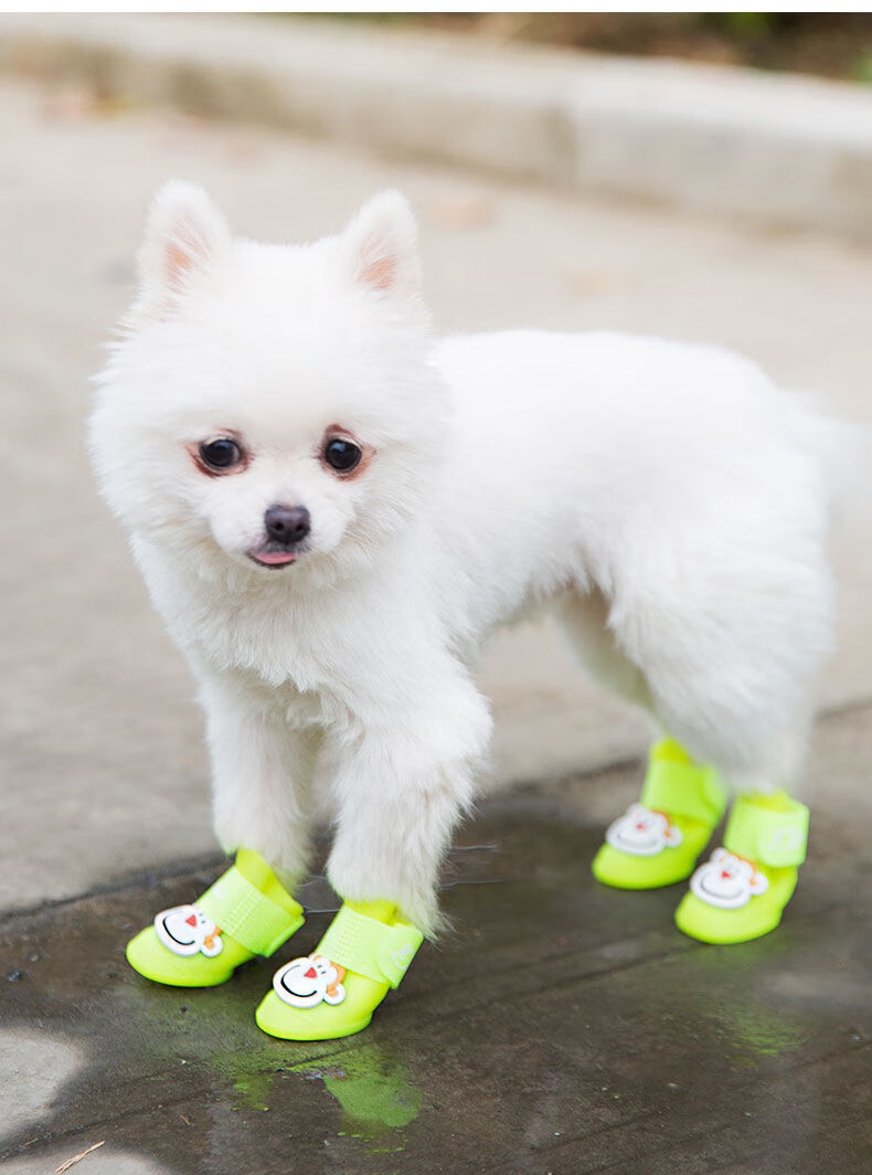 狗狗雨鞋春夏季泰迪比熊小型犬防水鞋子软底不掉大型宠物通用脚套蜜糖