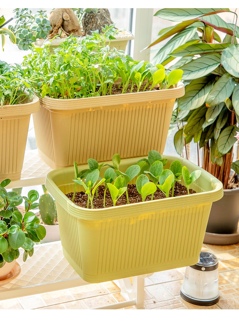 泰西丝塑料花盆特大号阳台蔬菜种植箱长方形种菜箱种菜神器户外花箱