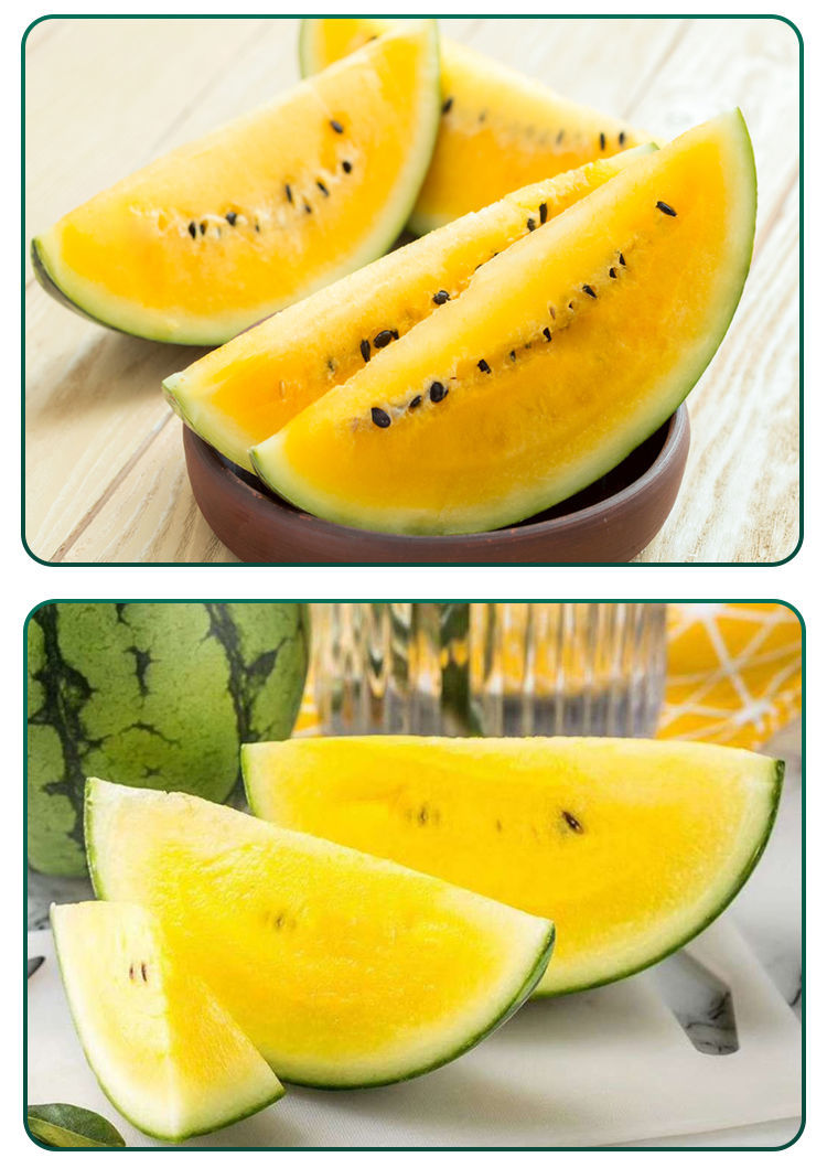 现摘现发特小凤西瓜黄心富硒黄瓤黄肉黄壤当季甜瓜新鲜孕妇 特小凤【2