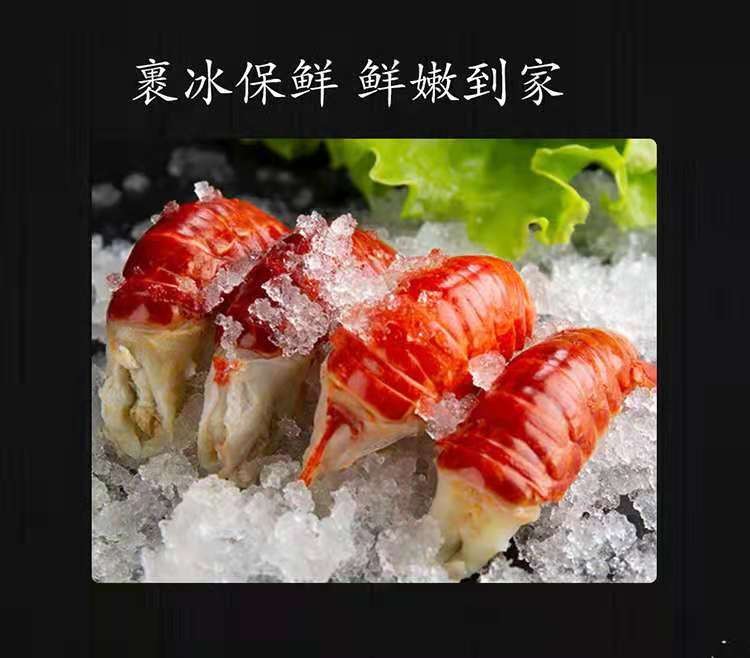 56ff4a01245de153.jpg