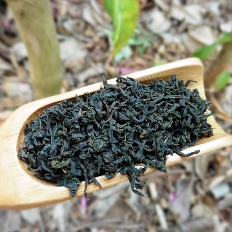 辣木茶印度进口辣木茶叶100g搭配辣木籽实发2瓶辣木茶500g袋装