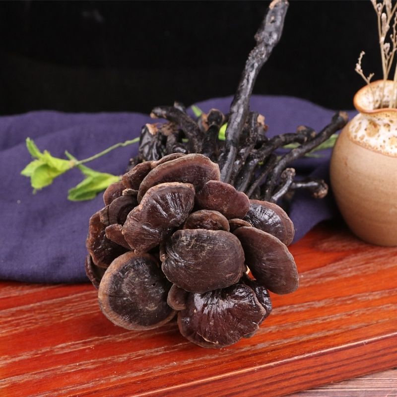 伟博野生竹灵芝深山长颈灵芝小红灵芝整枝紫灵芝干货100