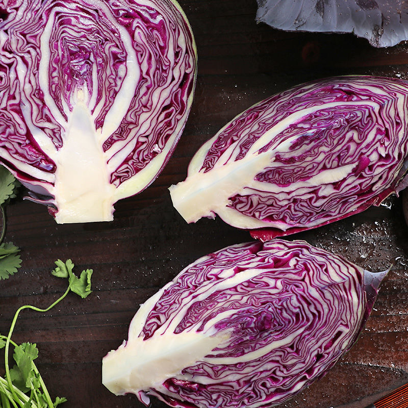 新鲜紫甘蓝蔬菜沙拉菜现采现发坏单包赔紫叶菜紫球菜紫包菜紫甘蓝5斤