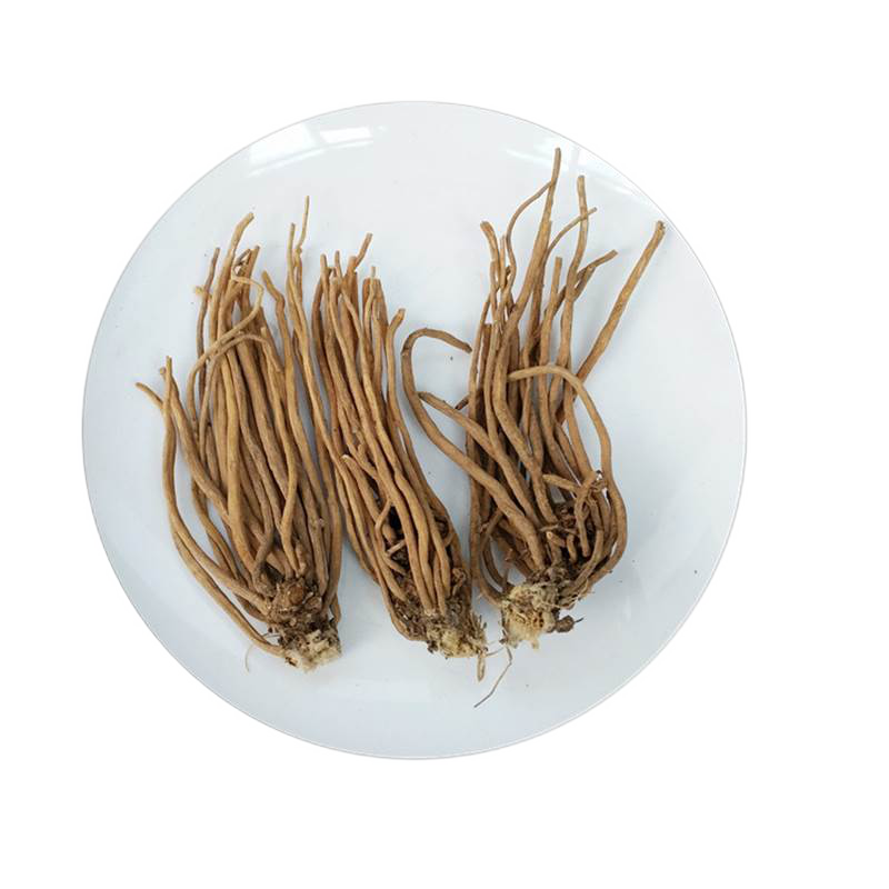 大火草根大伙草根 广西产大火草 大火草根白地紫菀 100克【图片 价格