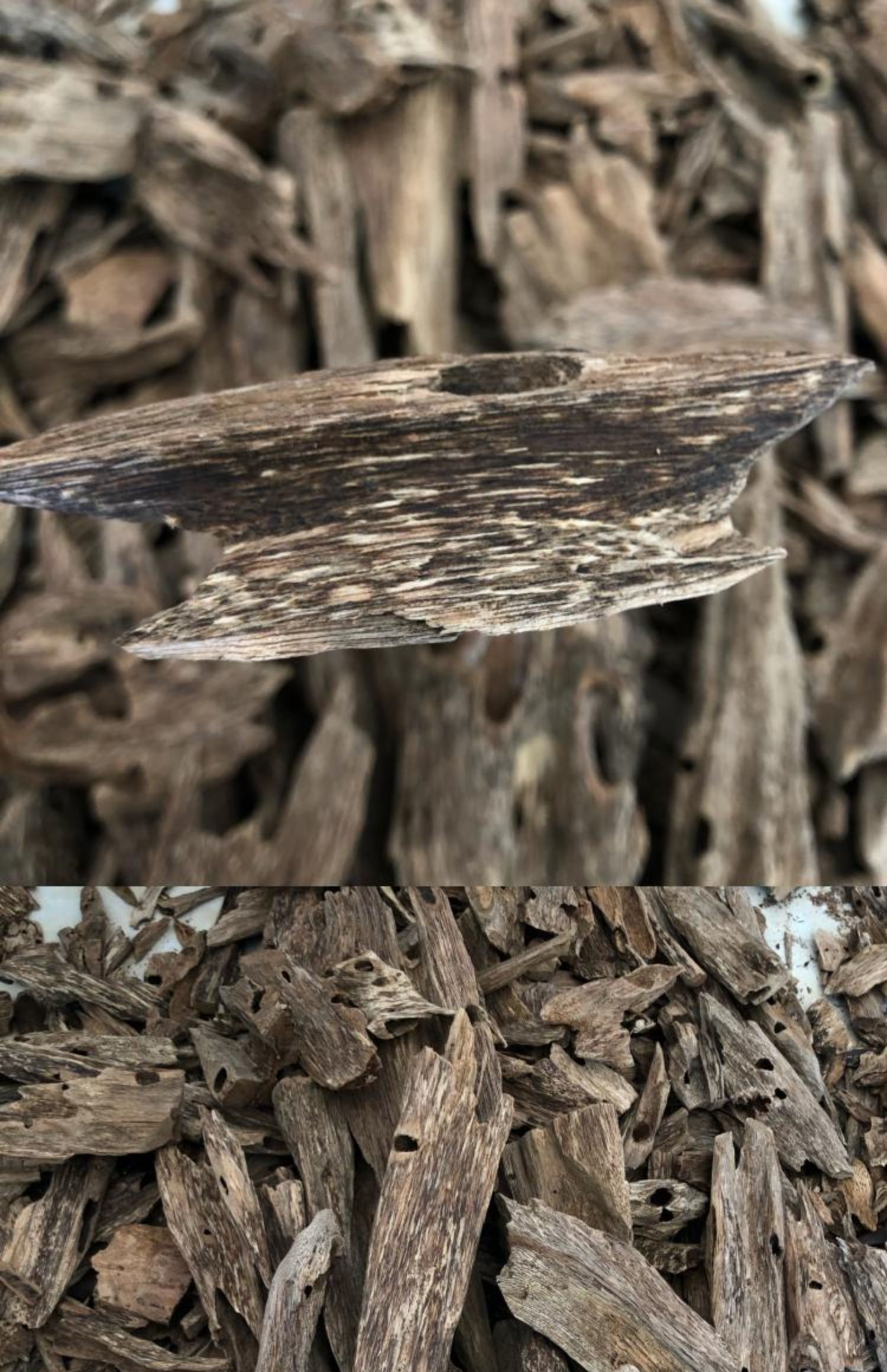 海南虫漏沉香木块香料蚁漏木料香熏料原木摆件黑油虫眼薰香 沉香虫漏