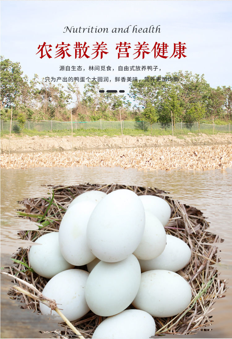洪湖放养新鲜鸭蛋麻鸭蛋农家土鸭蛋笨鸭蛋青皮绿皮散养鸭蛋 10枚 85