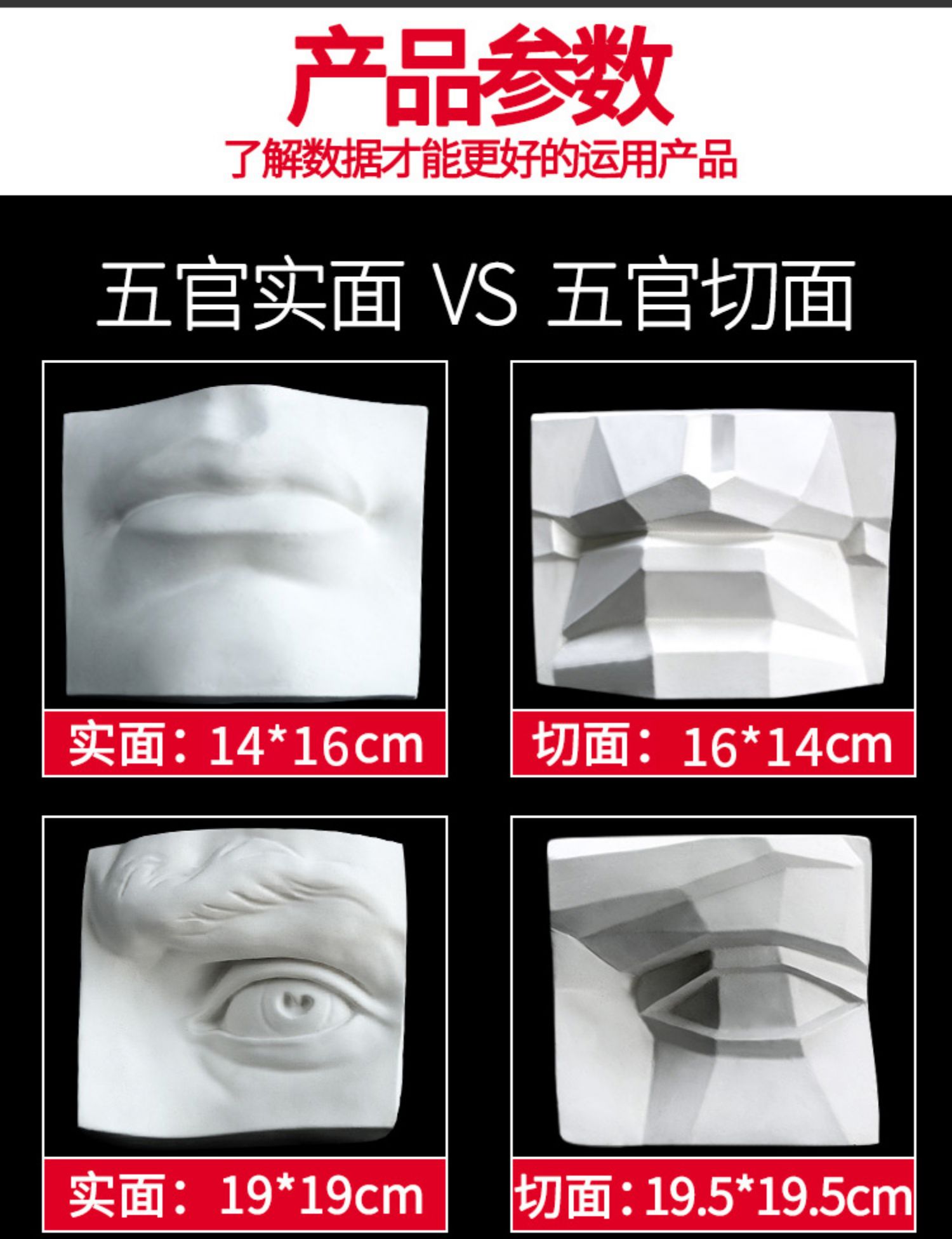五官切面实面石膏像几何体教具美术素描写生眼睛耳朵头骨单个 五官实