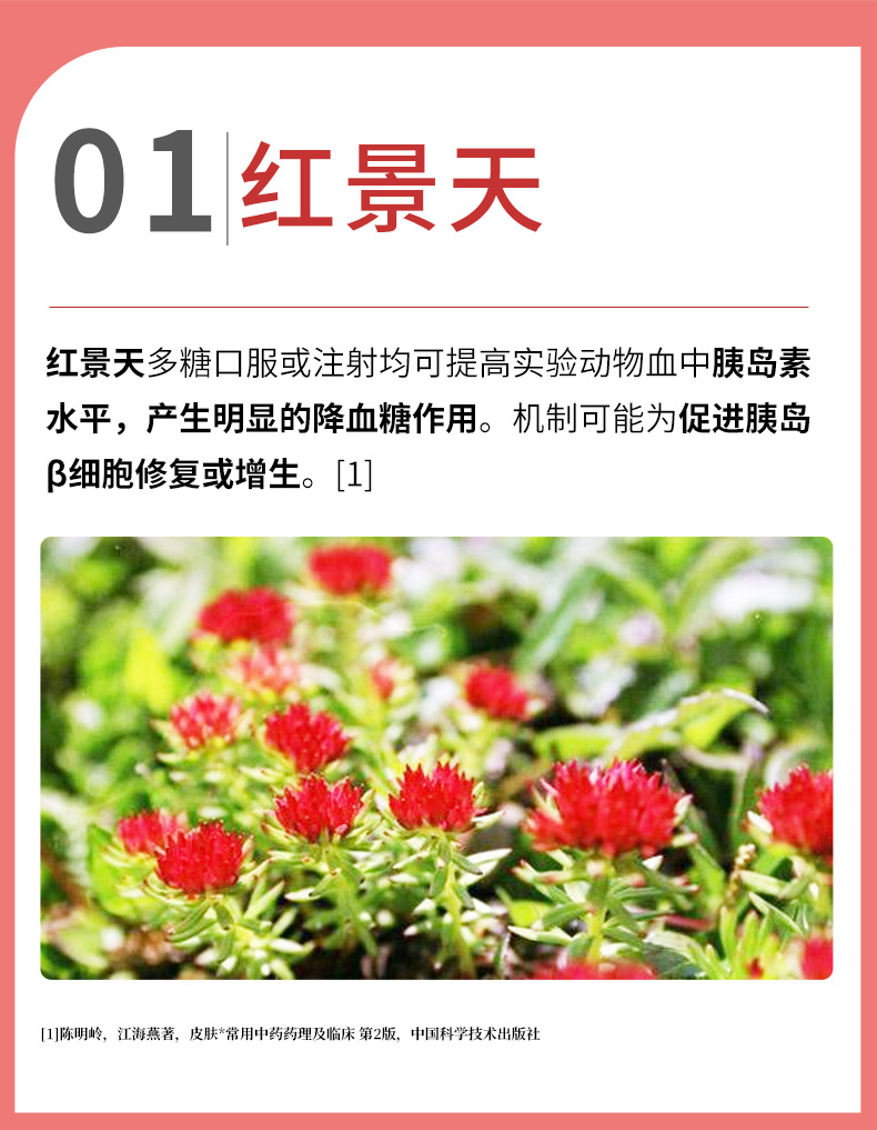 红叶铬油旗舰店官网辅助降血糖红叶格咯铭洛络硌饹油辅助降血糖1瓶装