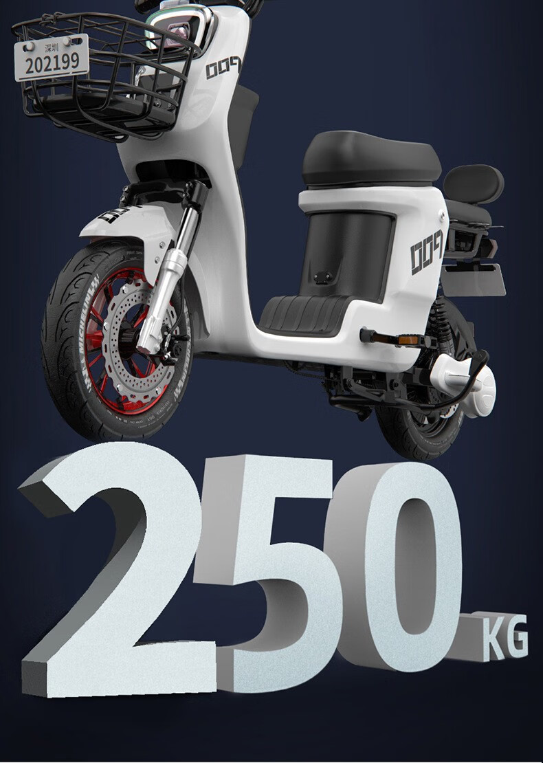 新国标009外卖专用电动车可上牌锂电池电瓶车小型新款电动自行车蓝色