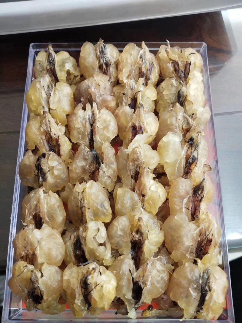 雪蛤干货长白山雪蛤油泡发率高干净无杂质雪蛤炖木瓜赠红枣高品质雪哈