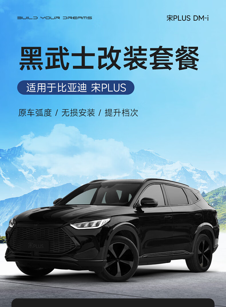 适用于比亚迪宋plusdmi中网改装配件黑武士前脸饰条外观汽车用品 宋