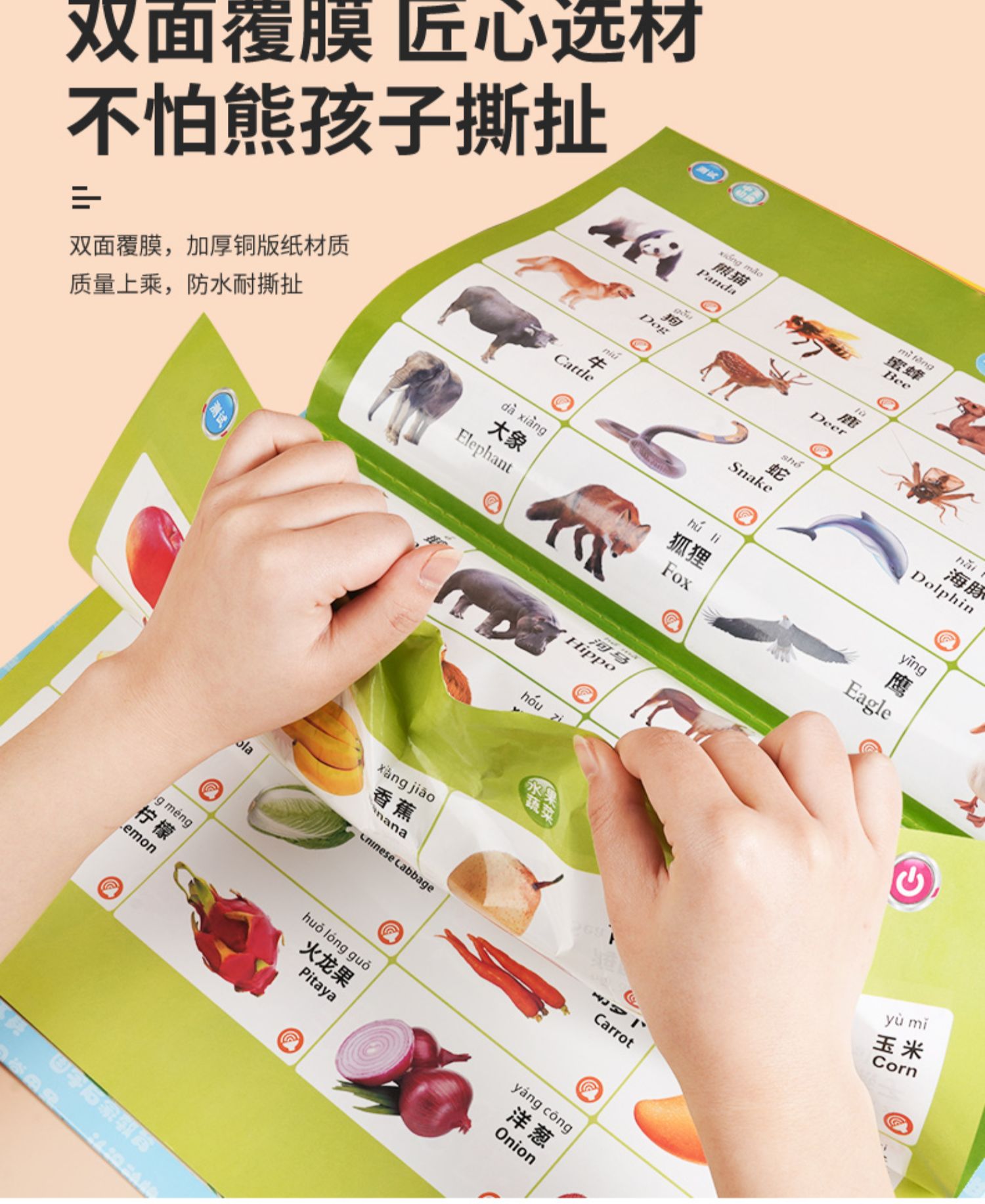 幼儿童益智玩具136岁男孩宝宝有声挂图4女孩生日礼物2小孩5早教电池版