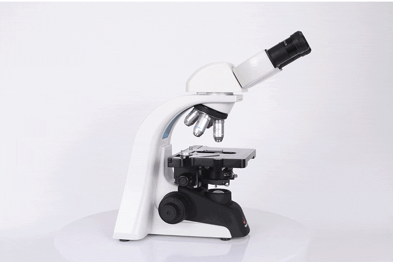 凤凰(phenix) 生物显微镜儿童学生畜牧养殖高倍高清 标配 20礼品 摄影