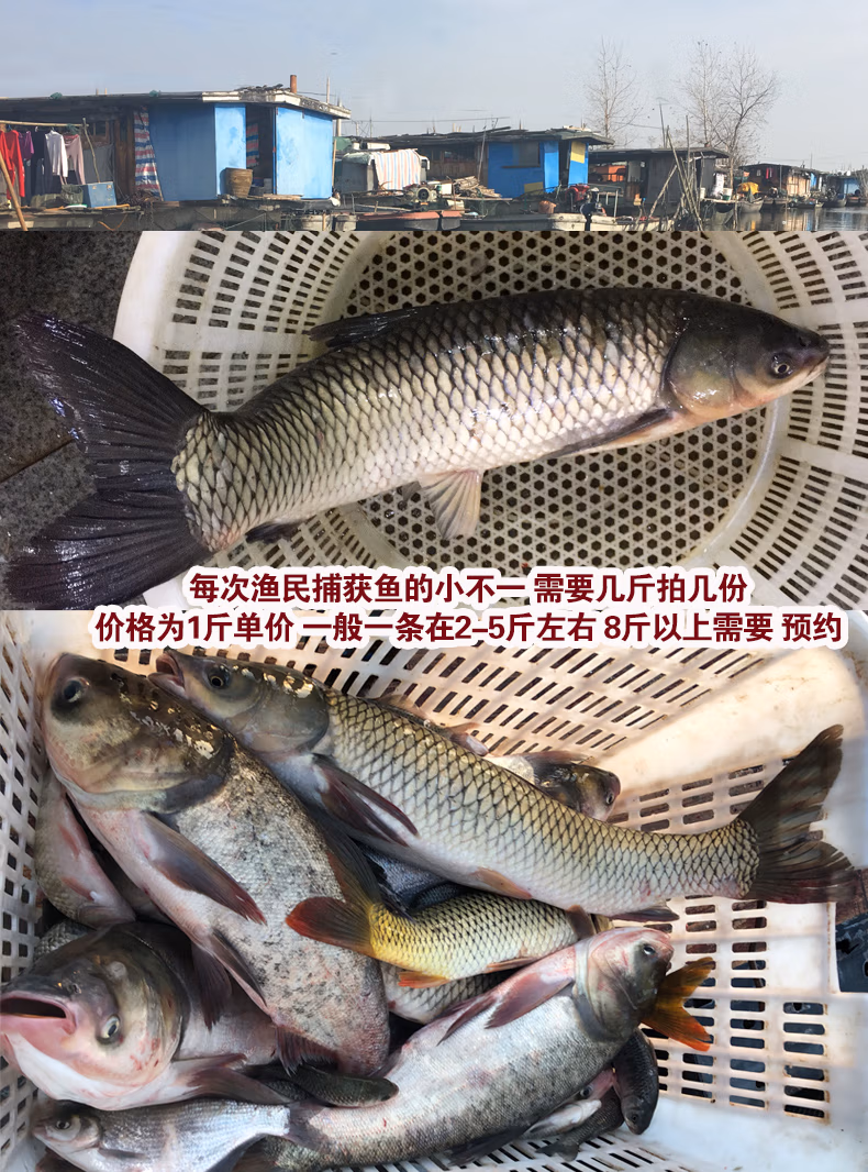 48b4411dd85cf098.jpg.avif