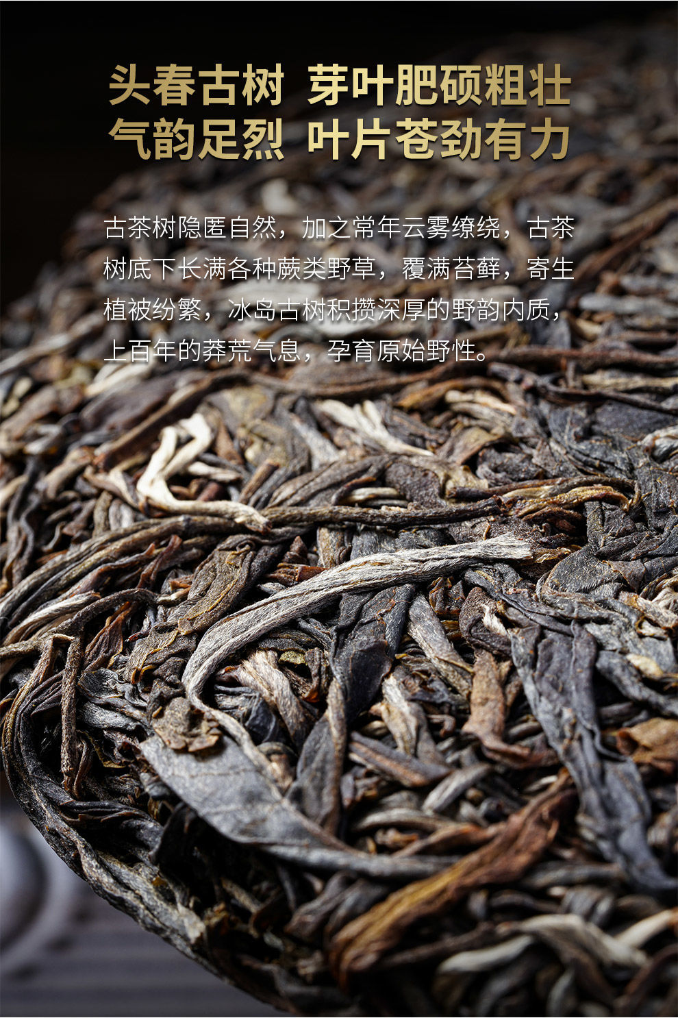 2021年冰岛普洱茶生茶古树茶饼茶送礼357克花蜜香生普批发礼盒装自饮