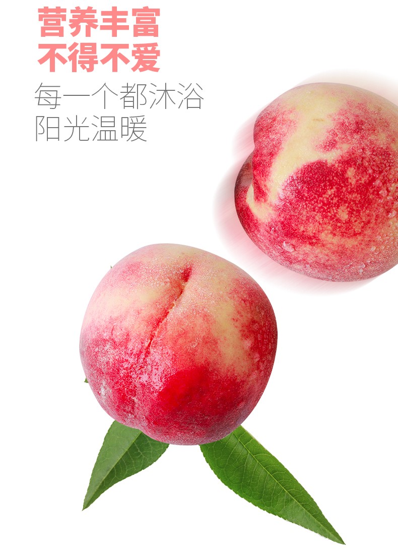 山东国产/进口:国产包装形式:原箱装类别:桃品种:黄桃货号:ht006商品