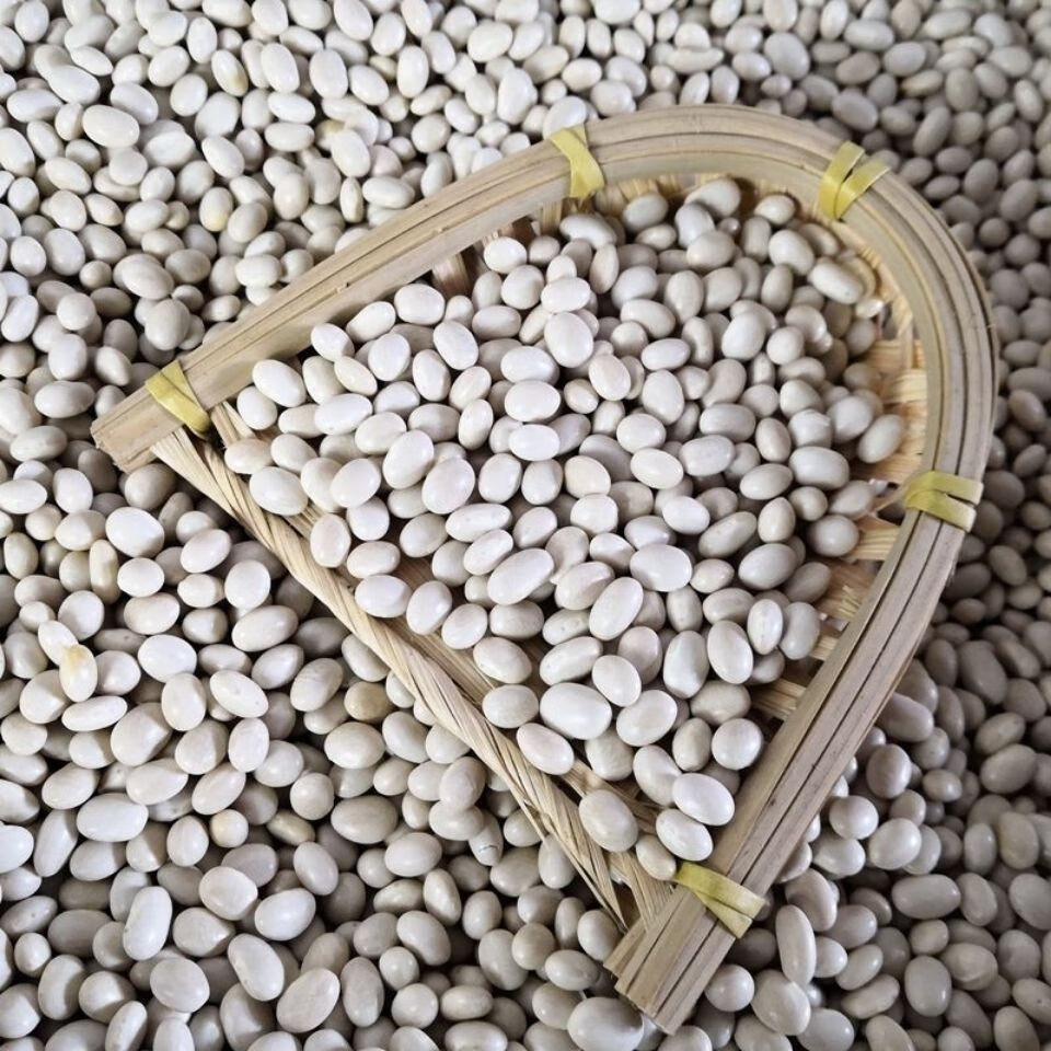 珍珠小白豆半斤云南农家自种小白芸豆白豆炖菜煲汤豆类杂粮粗粮小白豆
