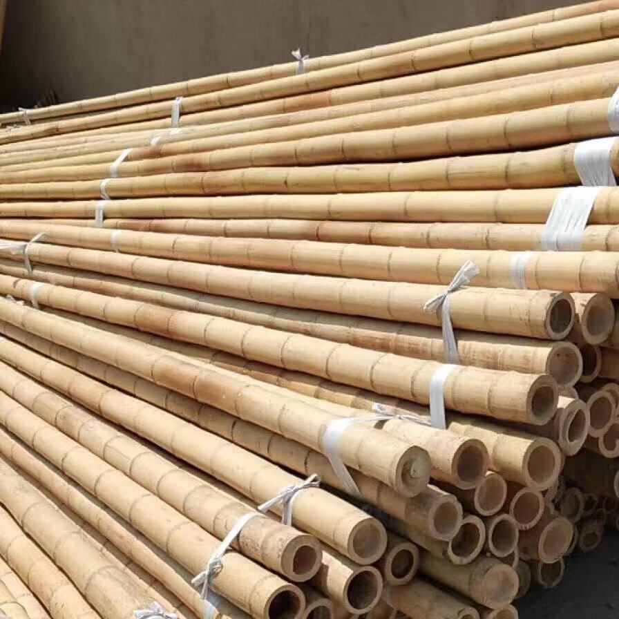 粗细小竹竿菜园种菜架子装饰搭架竹杆户外篱笆栅栏彩旗细跳舞15cm粗2m