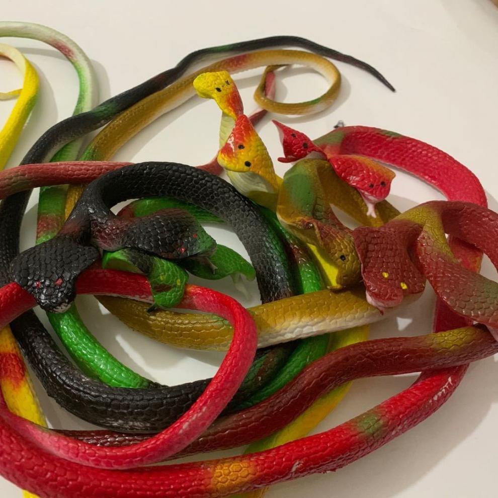 双头眼镜蛇玩具大号橡胶蛇70厘米创意整蛊恶搞吓人仿真软胶假蛇儿童