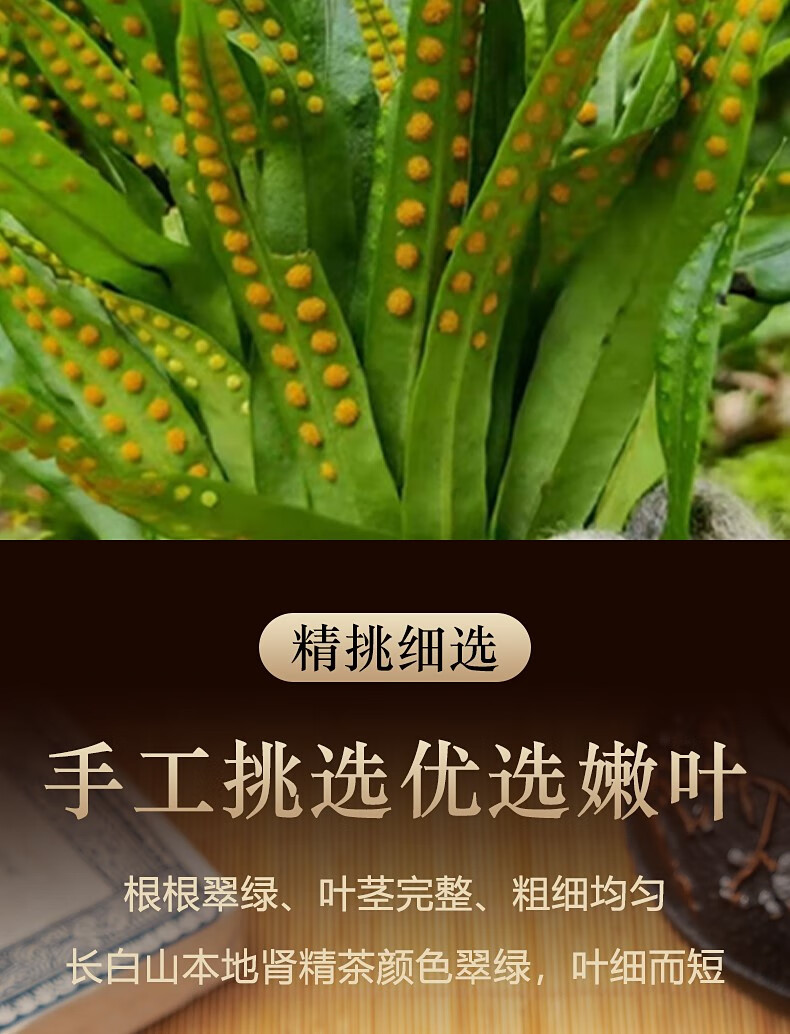恒愎化石草 东北长白山野生肾精茶养生茶化石草石韦草男性 250克/袋