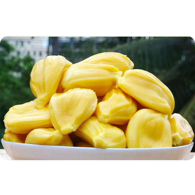 海南黄肉菠萝蜜现摘现发一整个大黄肉干苞应季新鲜水果三亚木菠萝 19.