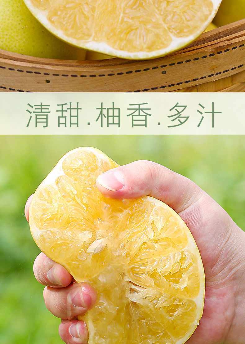 黄金葡萄柚子水果台湾品种新鲜爆汁现摘现发当季水果礼盒精选中果单果