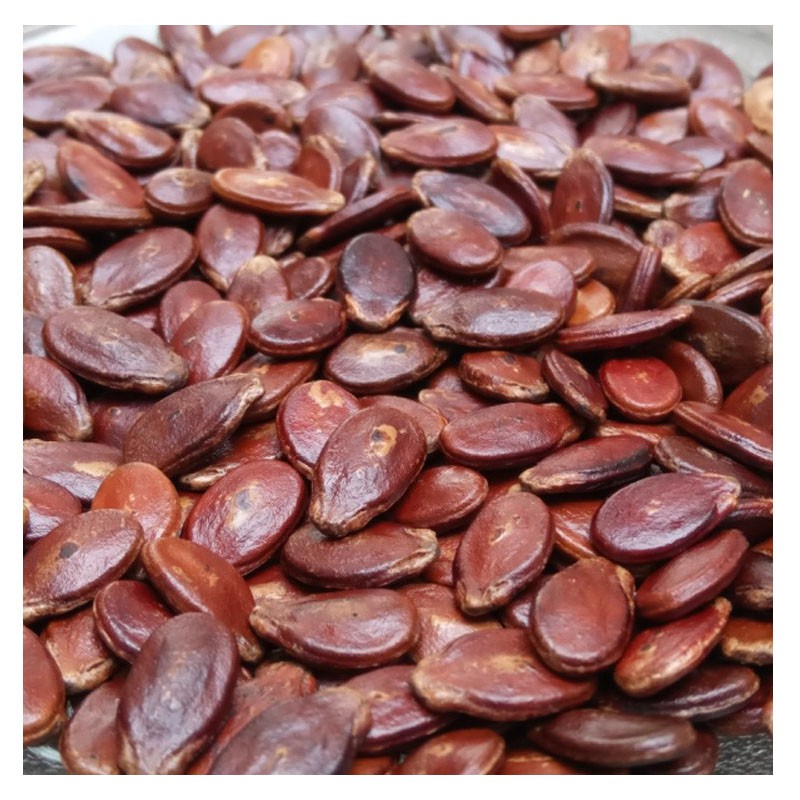 江西信丰红瓜子西瓜籽大粒散装农家新鲜炒熟原味生的年货推荐卡其色