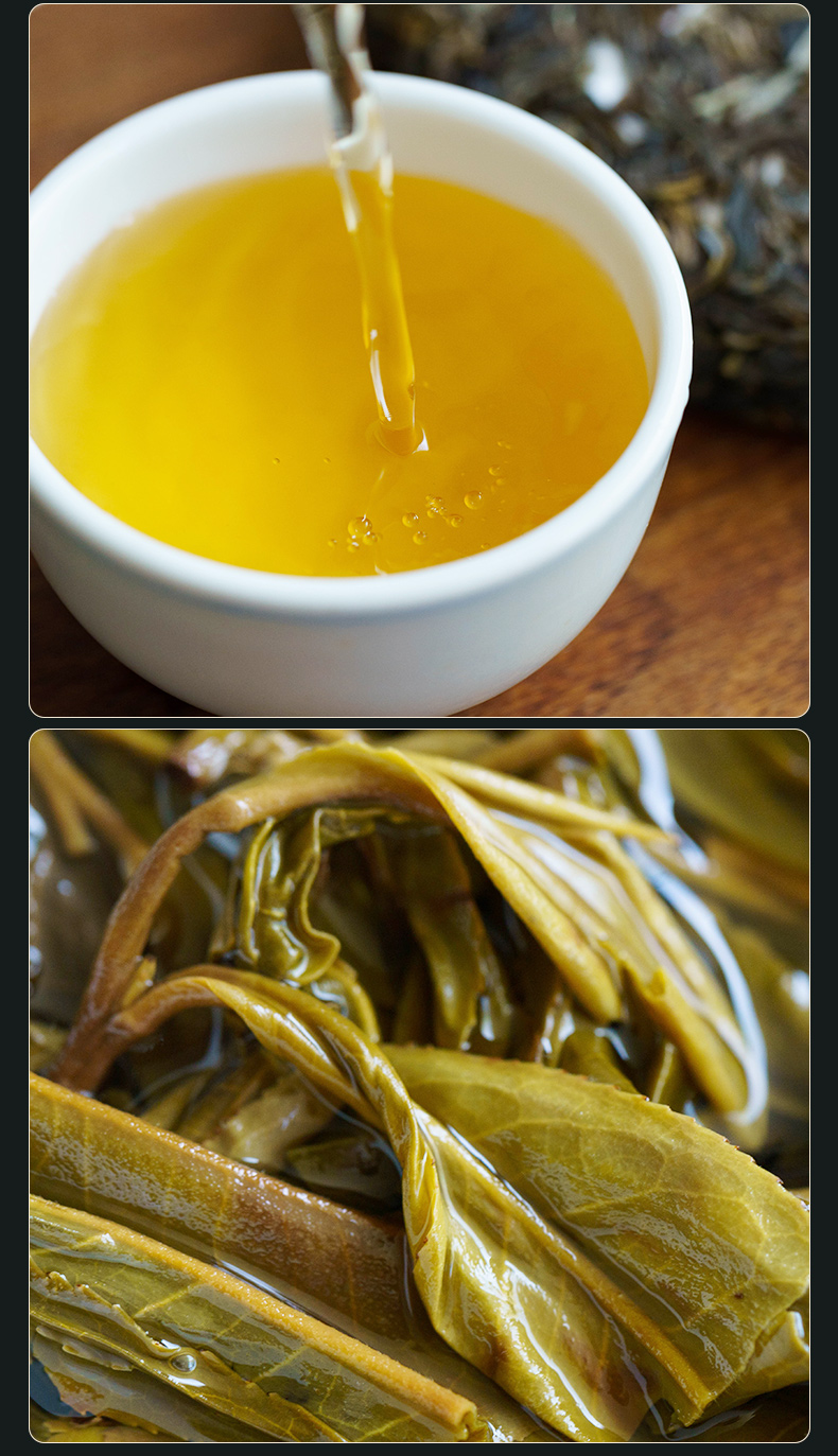 库存告急吉普号茶叶普洱茶生茶藏山615忙肺古树茶纯料2021年春茶200g