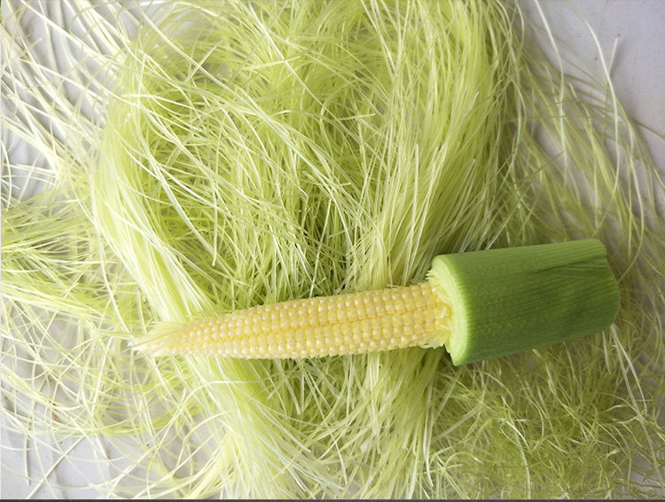 花初醒明胜天成广西横县新鲜玉米须茶农家种植现剥现实发玉米笋须新鲜