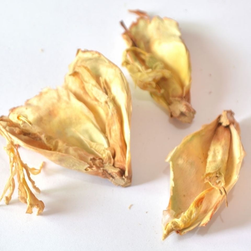 有仁堂农家土特产贵州草果老根草果叶草果花新鲜现挖高汤香料调料 花